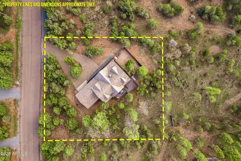 View/Area - 2818 Constellation Ln, Overgaard, AZ 85933 photo 3 of 3