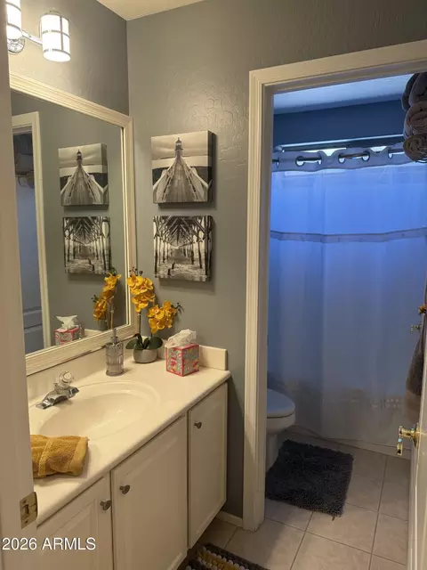 Bath - 5415 E Mckellips Rd #72, Mesa, AZ 85215 photo 1 of 5