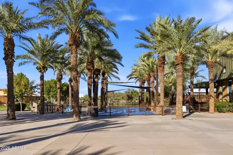 Other - 10636 E Sheffield Dr, Mesa, AZ 85212 photo 15 of 20