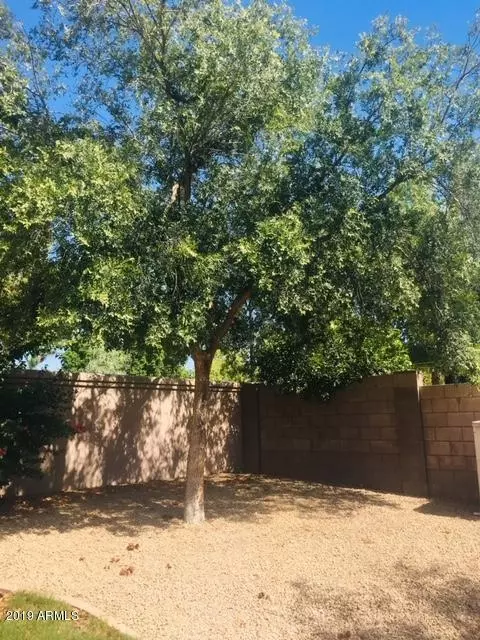 Exterior - 891 N Date Palm Dr, Gilbert, AZ 85234 photo 10 of 15