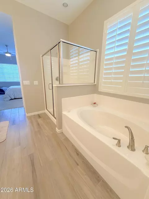 Bath - 10142 E Nichols Ave, Mesa, AZ 85209 photo 1 of 5