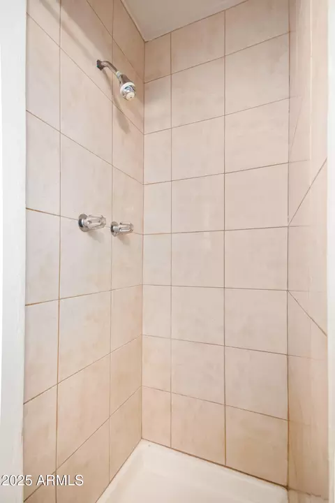 Bath - 3311 E Cambridge Ave, Phoenix, AZ 85008 photo 3 of 7