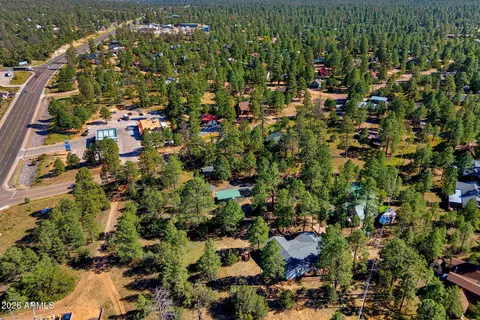 View/Area - 1967 Tall Pine Cir, Overgaard, AZ 85933 photo 4 of 5