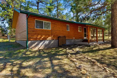 Other - 1967 Tall Pine Cir, Overgaard, AZ 85933 photo 2 of 6