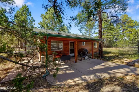 Exterior - 1967 Tall Pine Cir, Overgaard, AZ 85933 photo 11 of 12