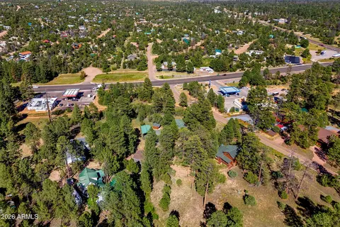 View/Area - 1967 Tall Pine Cir, Overgaard, AZ 85933 photo 3 of 5