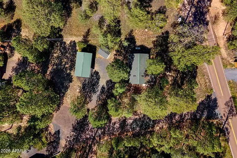 View/Area - 1967 Tall Pine Cir, Overgaard, AZ 85933 photo 1 of 5