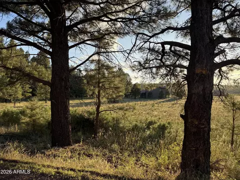 184 High Point Dr #C, Mormon Lake, AZ 86038