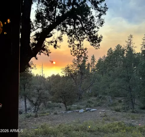 Other - 264 S Conifer Dr, Payson, AZ 85541 photo 13 of 13