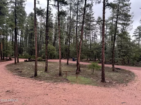 Other - 264 S Conifer Dr, Payson, AZ 85541 photo 1 of 13