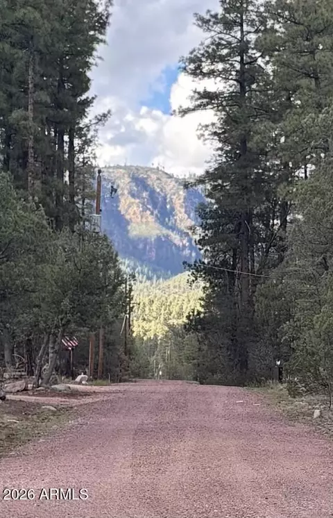 Other - 264 S Conifer Dr, Payson, AZ 85541 photo 2 of 13