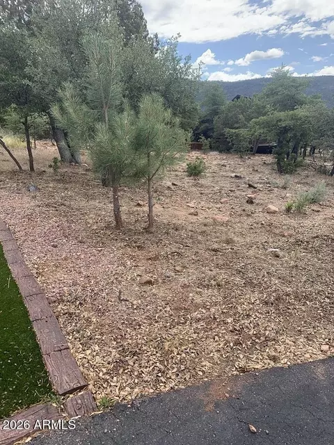 164 Arrowhead Cir #164, Pine, AZ 85544 photo 2