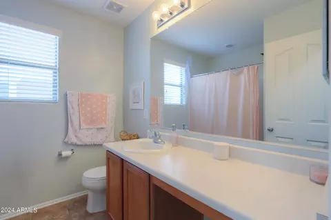 Bath - 986 S Hawk Ln, Gilbert, AZ 85296 photo 2 of 2