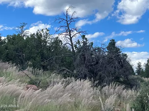 521 N Peak Loop #32, Payson, AZ 85541 photo 10