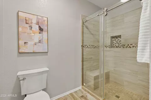 Bath - 1633 E Lakeside Dr #165, Gilbert, AZ 85234 photo 3 of 6