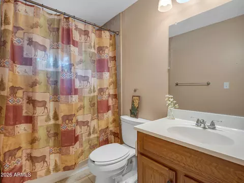 Bath - 4079 N Cherri Lynn Dr, Pine, AZ 85544 photo 1 of 1