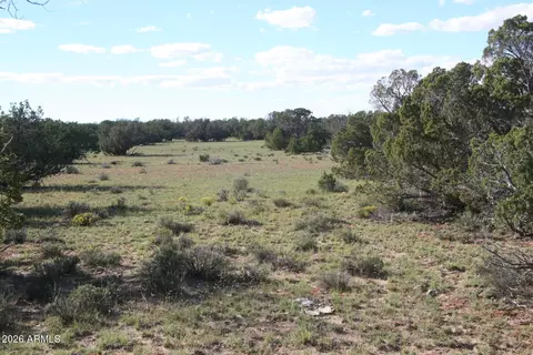 tbd 7230-002 -- #-, Saint Johns, AZ 85936