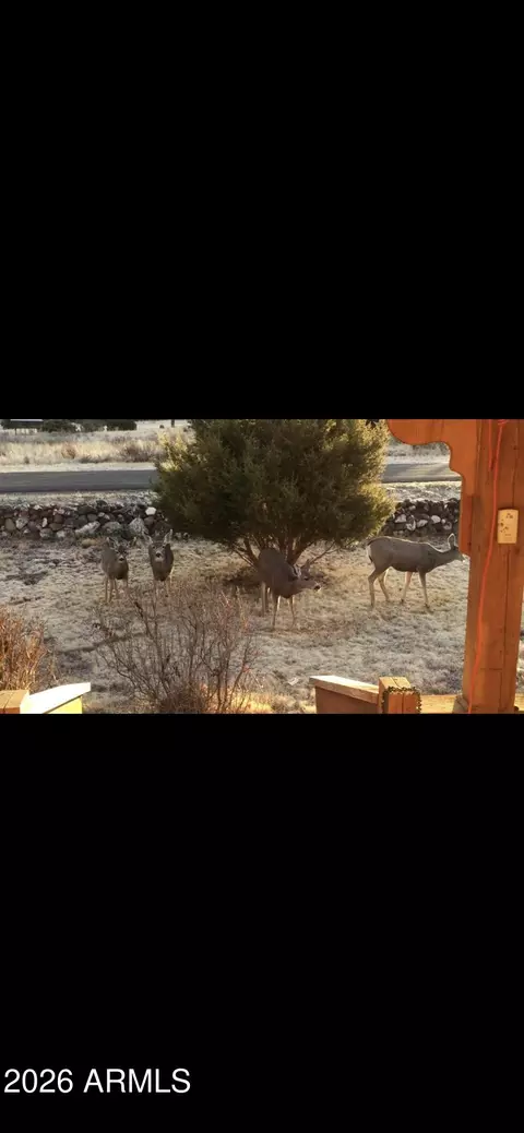 814 W Safari Dr, Eagar, AZ 85925 photo 7