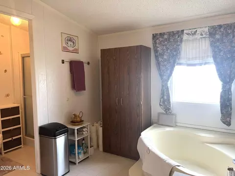 814 W Safari Dr, Eagar, AZ 85925 photo 18