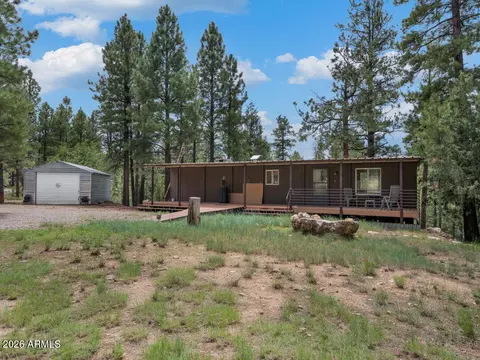 590 Jacks Canyon Dr, Happy Jack, AZ 86024