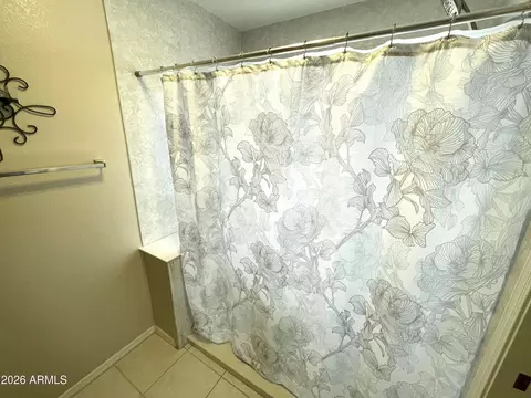 Bath - 2661 E Nance St, Mesa, AZ 85213 photo 3 of 5