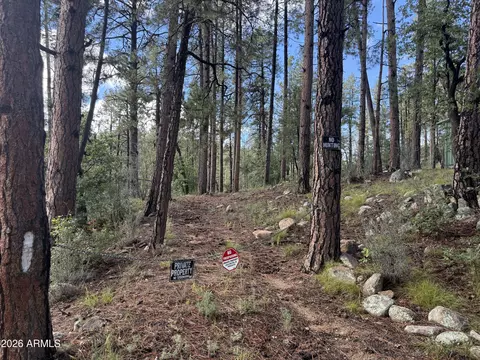 00 Evening Shadow Rd #-, Crown King, AZ 86343