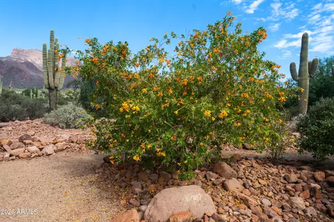 Other - 1135 S Broadway Ln, Apache Junction, AZ 85119 photo 14 of 22