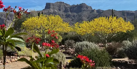Exterior - 1135 S Broadway Ln, Apache Junction, AZ 85119 photo 6 of 41