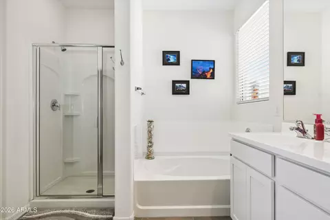 Bath - 8520 E Osage Ave, Mesa, AZ 85212 photo 4 of 6
