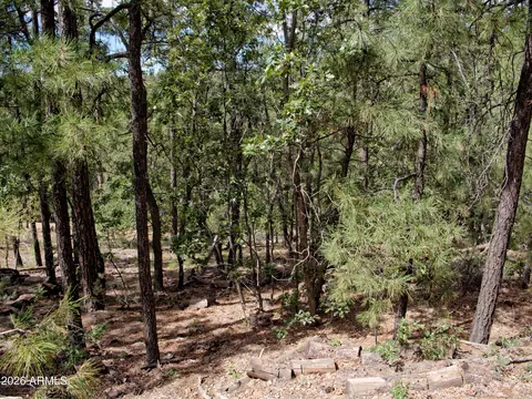 015016 S Ponderosa Dr #15, Prescott, AZ 86303