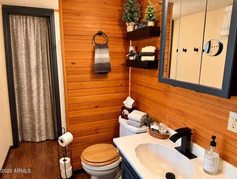 Bath - 3346 Whispering Pine Dr, Overgaard, AZ 85933 photo 1 of 2