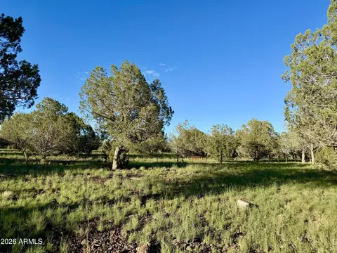 4727 W Cedar St #-, Ash Fork, AZ 86320 photo 13