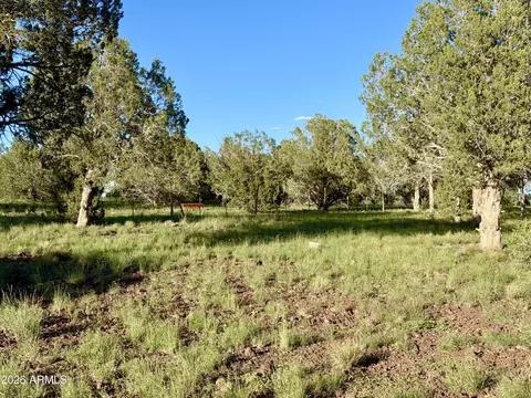 4727 W Cedar St #-, Ash Fork, AZ 86320 photo 11