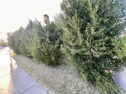 Other - 1802 E Missouri Ave, Phoenix, AZ 85016 photo 26 of 26