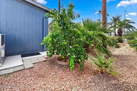 2929 E Main St #23, Mesa, AZ 85213 photo 40