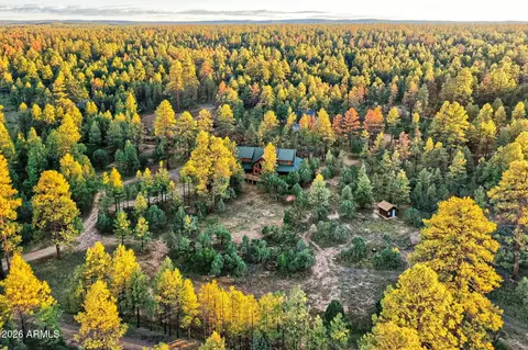 Other - 2790 Pine Rim Rd, Overgaard, AZ 85933 photo 13 of 13