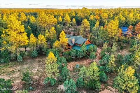 Other - 2790 Pine Rim Rd, Overgaard, AZ 85933 photo 12 of 13