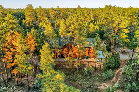 Other - 2790 Pine Rim Rd, Overgaard, AZ 85933 photo 11 of 13