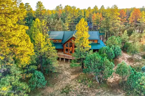 Other - 2790 Pine Rim Rd, Overgaard, AZ 85933 photo 10 of 13
