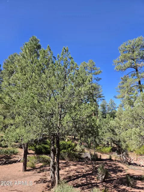 Other - 3638 N Whispering Pine Rd, Pine, AZ 85544 photo 14 of 16