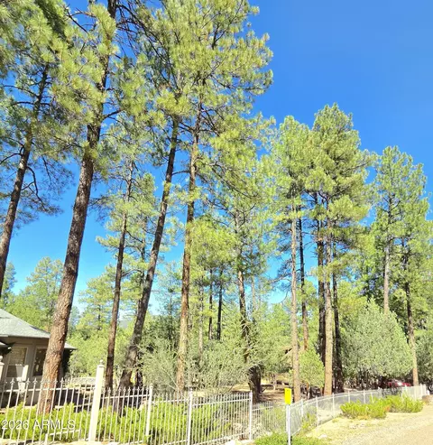 Other - 3638 N Whispering Pine Rd, Pine, AZ 85544 photo 12 of 16