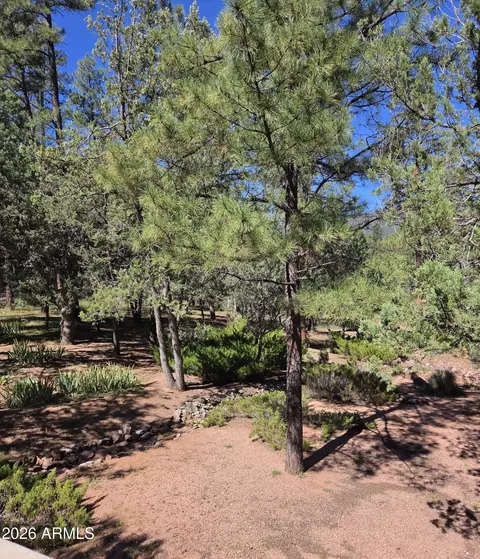 Other - 3638 N Whispering Pine Rd, Pine, AZ 85544 photo 13 of 16