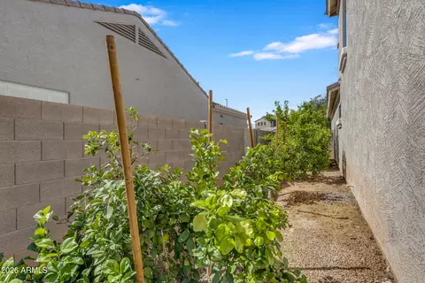 Exterior - 4307 S Summit St, Gilbert, AZ 85297 photo 7 of 21