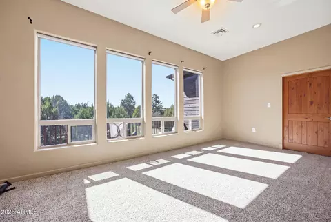 Other - 3357 Basin Rd, Overgaard, AZ 85933 photo 9 of 23