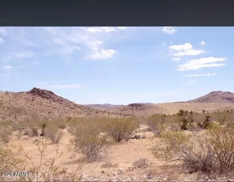 0 Unassigned -- #58, Dolan Springs, AZ 86441