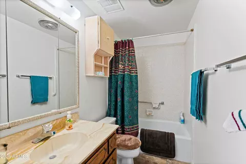 Bath - 4501 E Carol Ave, Mesa, AZ 85206 photo 3 of 4