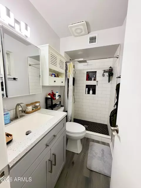 Bath - 1022 E Millett Ave, Mesa, AZ 85204 photo 2 of 2