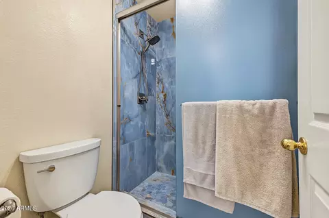 Bath - 3320 E Long Lake Rd, Phoenix, AZ 85048 photo 4 of 5