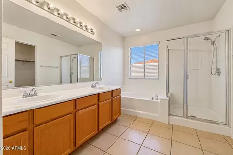 Bath - 10550 E Bogart Ave, Mesa, AZ 85208 photo 1 of 3