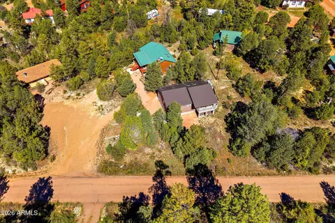 View/Area - 1992 Red Deer Run, Overgaard, AZ 85933 photo 3 of 6